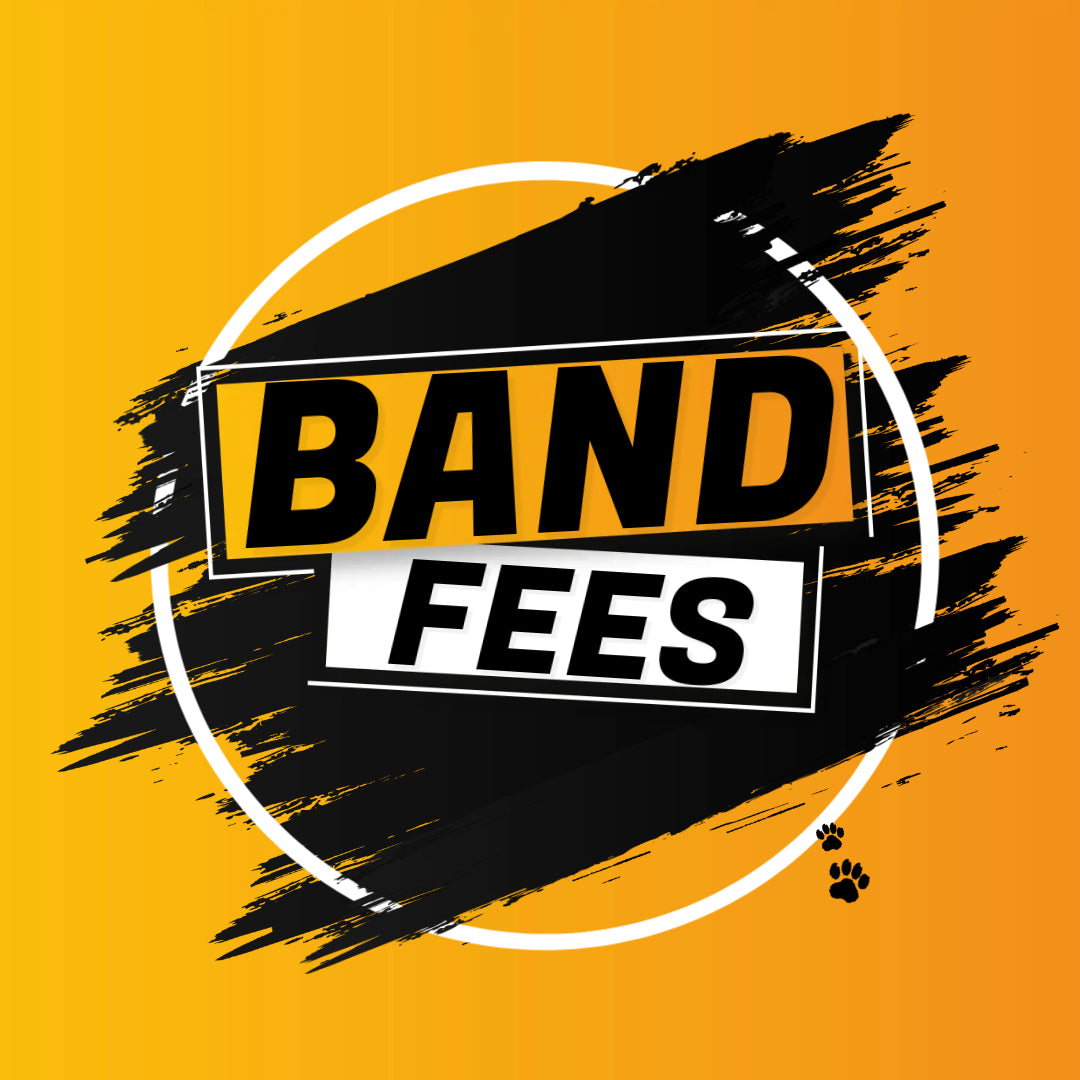 2025-2026 BAND FEES